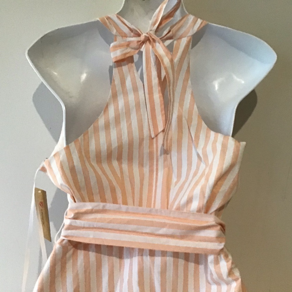 Cremieux Dress 6 Maxi NWT $149 Peach White Stripe - Picture 10 of 16